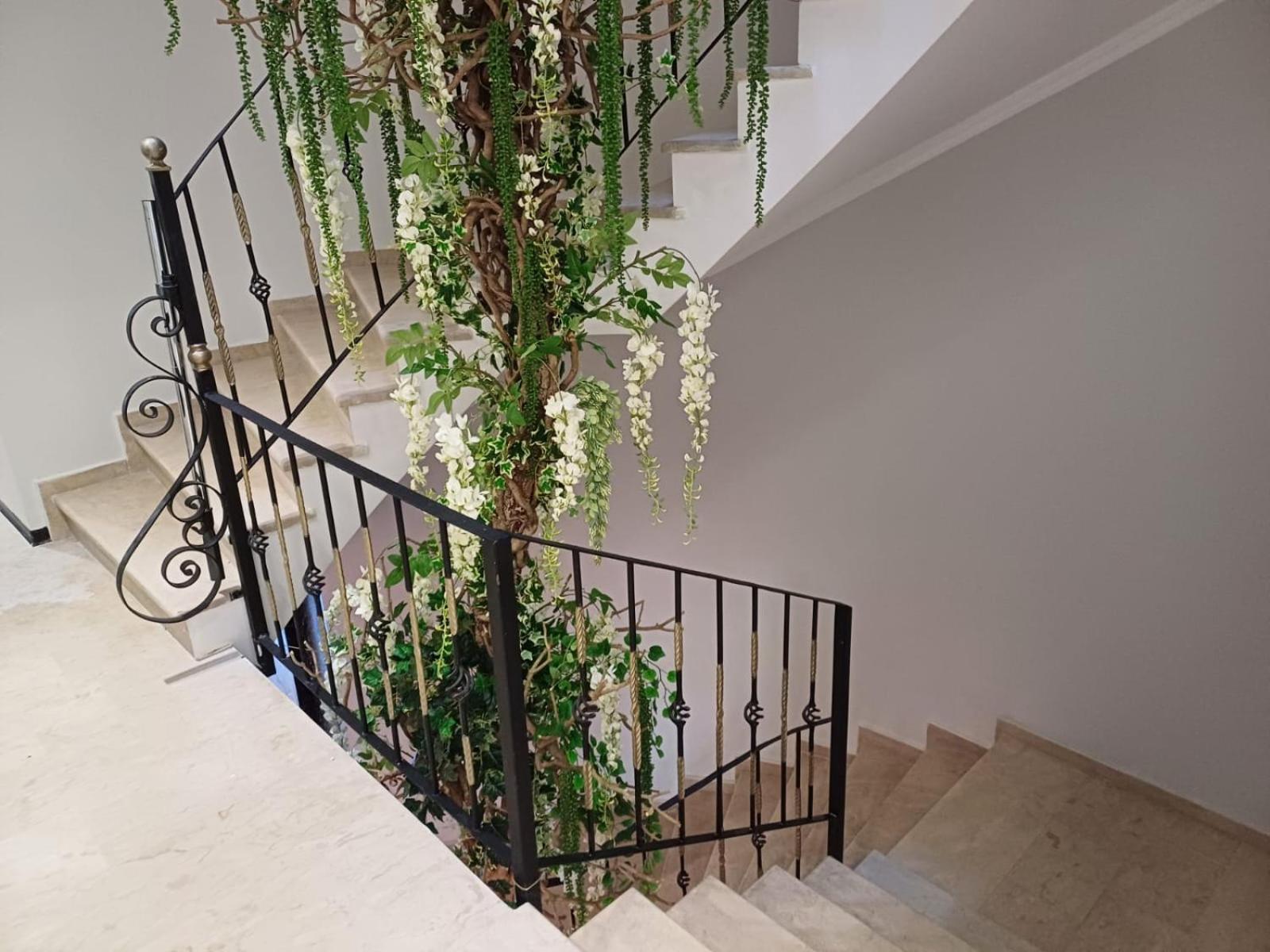 Oxygen Boutique Hotel Tirana Zewnętrze zdjęcie